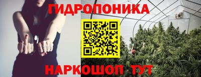 дживик Жуковский